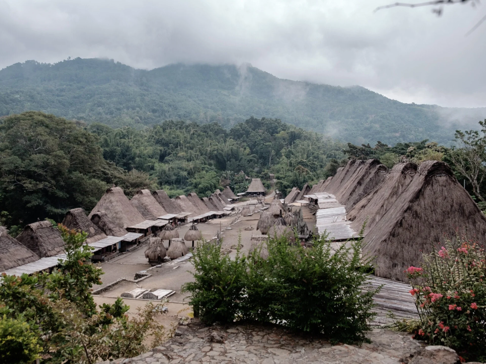Flores Traditional House