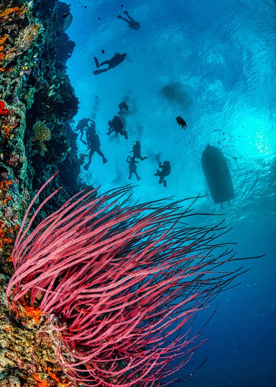 03_Discover-Luxury-Indonesia_Website_Liveaboard_ScubaSpa-ZEN-Indonesia_Main-Image-for-Overview